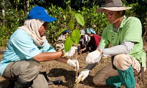 Nestlé plants 750,000 trees in Malaysia