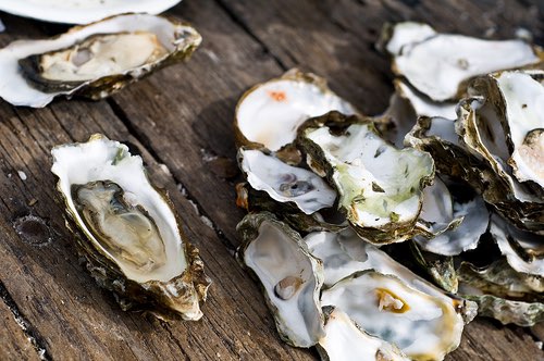 New FSA research identifies norovirus levels in oysters