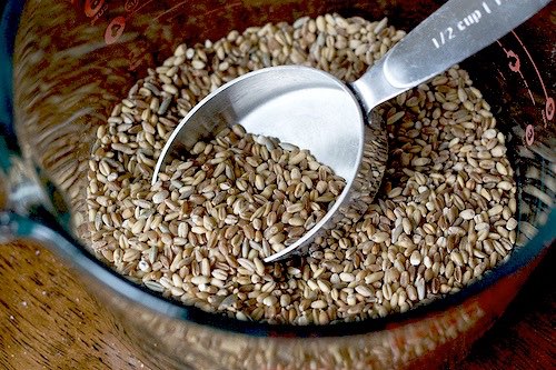 US teenagers don't eat enough grains, says study