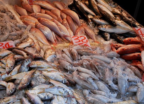 Fish is healthy, but not always liked, says report
