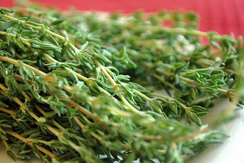 Thyme is a cure for acne, says new research