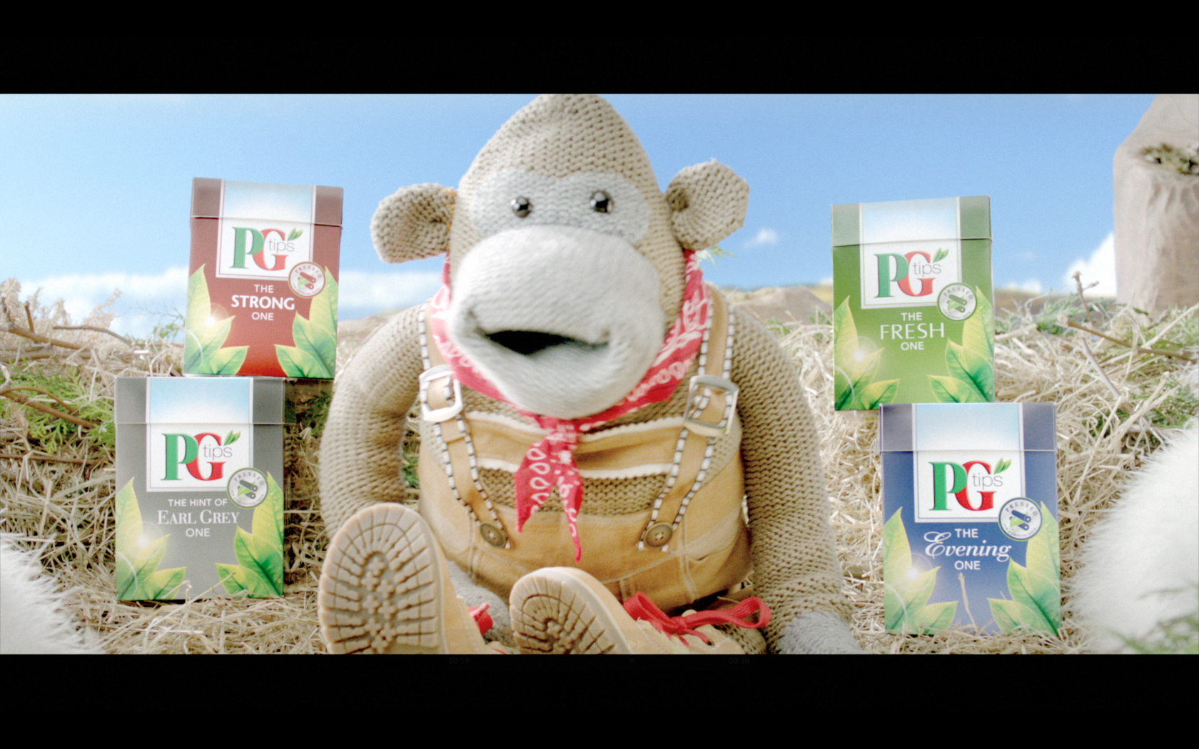 PG tips launches new TV ad campaign