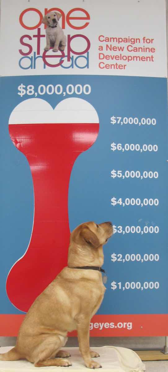 PepsiCo grants $3m to Guiding Eyes for the Blind