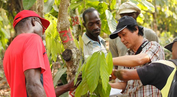 Cocoa farmers need more investors, says Mars