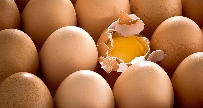 New research shows that eggs are healthier than we think