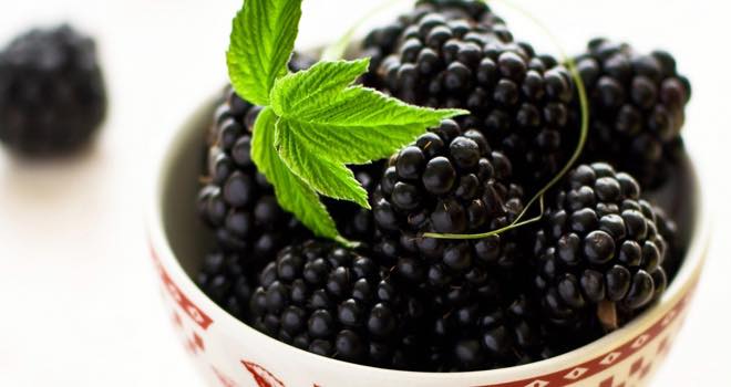 Blackberries may prevent gum disease, says study