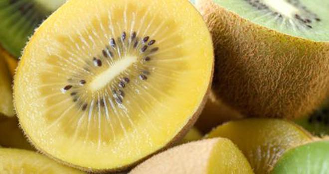 Research to prevent kiwi fruit disease