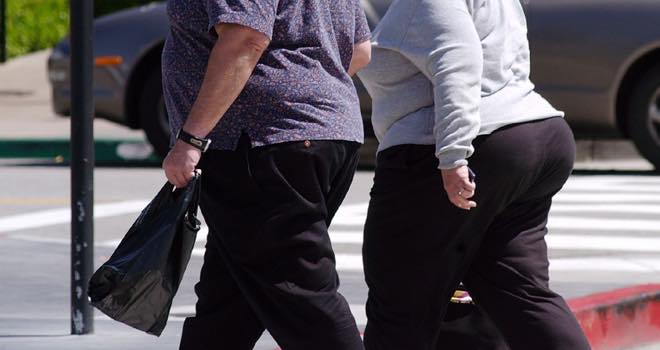 US adult obesity rates 'hold steady', says new report