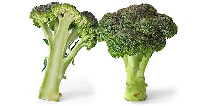 Study suggests broccoli could be key in the fight against osteoarthritis