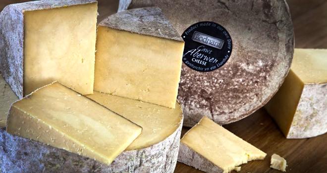 Bodnant Welsh Food revives Aberwen Welsh cheese