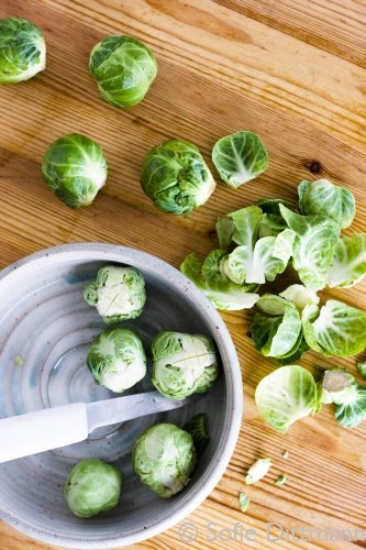 Brussels sprouts boost fertility in men and women, says study