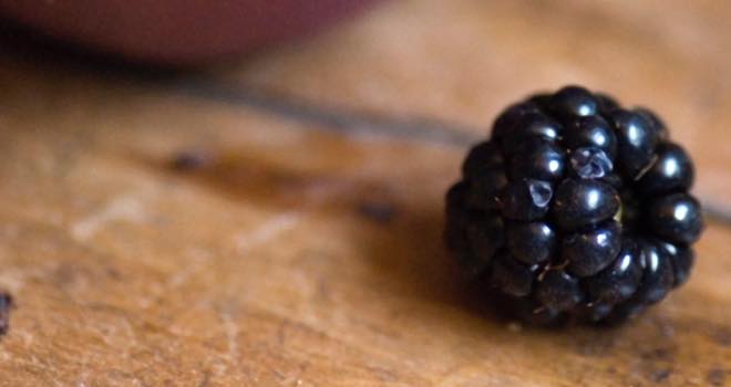 Blackberry is 'flavour of the year', says Firmenich