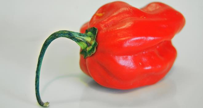 Fiery and fun flavour trends for 2014