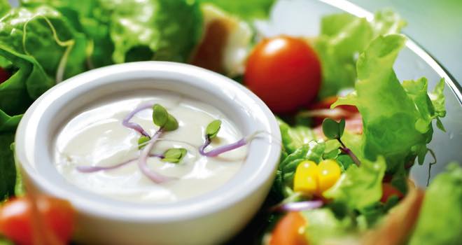 Hydrosol protein-rich salad dressing