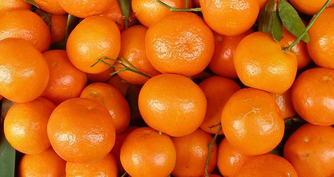 Mandarin category grows despite overall citrus crop setbacks