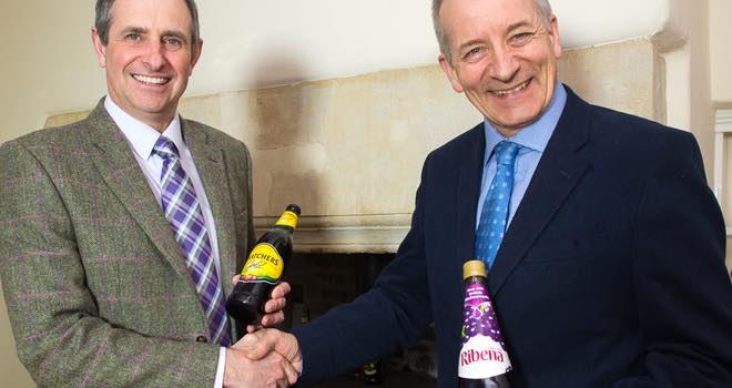 Thatchers to continue pressing blackcurrants for Ribena's new owners
