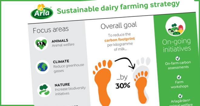Arla develops global strategy for sustainable dairy farming