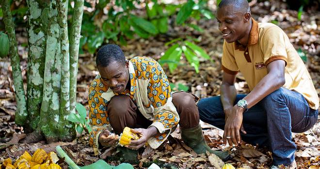 Nestlé supports CocoaAction strategy to promote sustainability