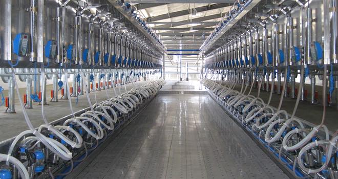 Afimilk helps construct new dairy farm in China