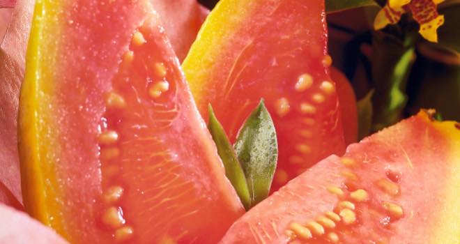 Exotic 'Tropical Fruits' flavours from Wild