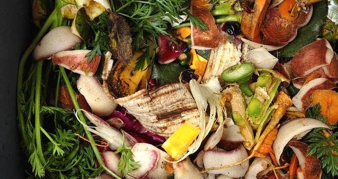 Frozen food could reduce food waste and greenhouse emissions, says report