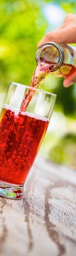DSM launches Rapidase Pro Color for coloured berry juice