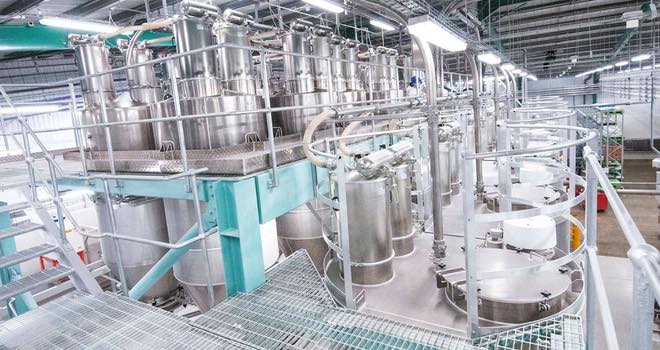 Bowman Ingredients to reach manufacturing milestone at blending plant