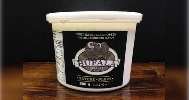Bufala yogurt, made from water buffalo milk