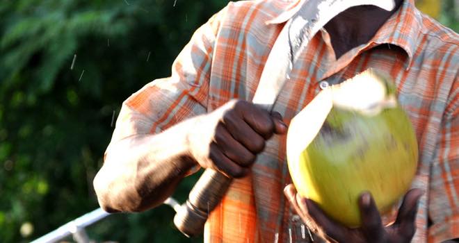 Unsweetened coconut water is poised for rapid growth, says survey