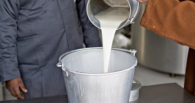 Nestlé Mexico to increase milk production with 700m peso investment