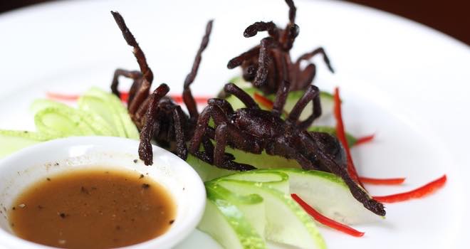 Insects as an everyday food source could be a $350m business in 10 years