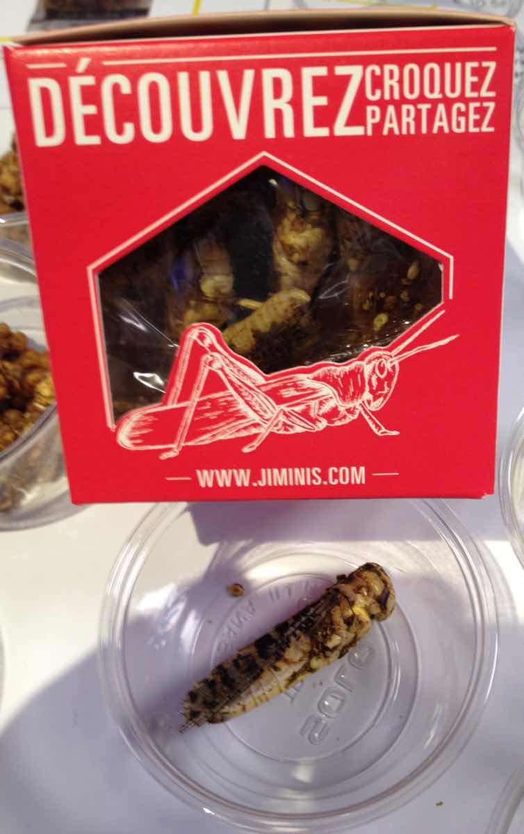 Jiminy Crickets! Insects as the new snacking trend