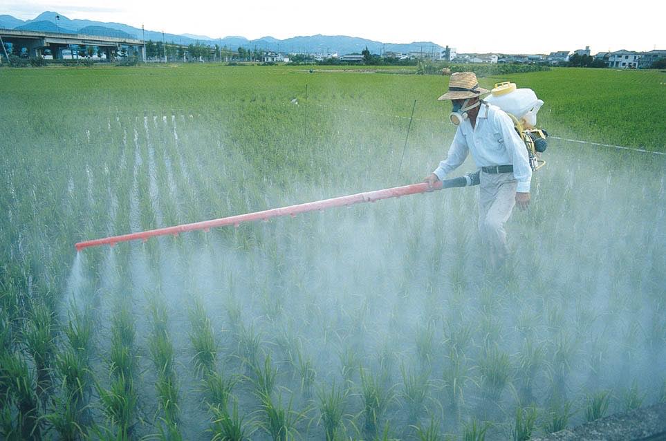 Move to ban pesticides 'a threat to UK food security', say scientists