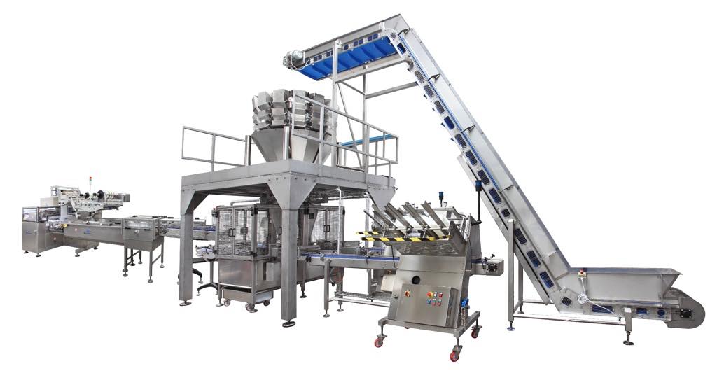 PFM develops high-speed tray packing line for salad