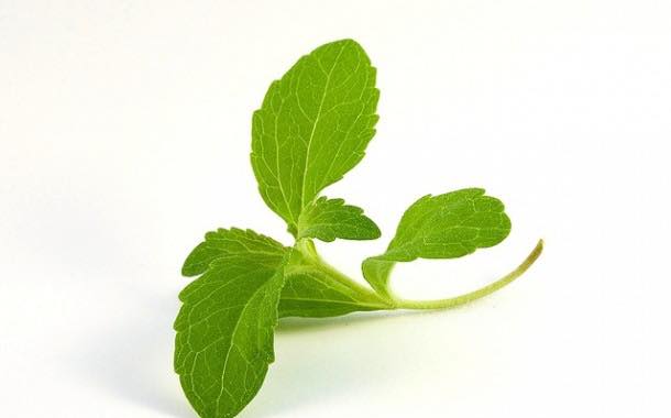 Worldwide stevia sales set to advance by 14%