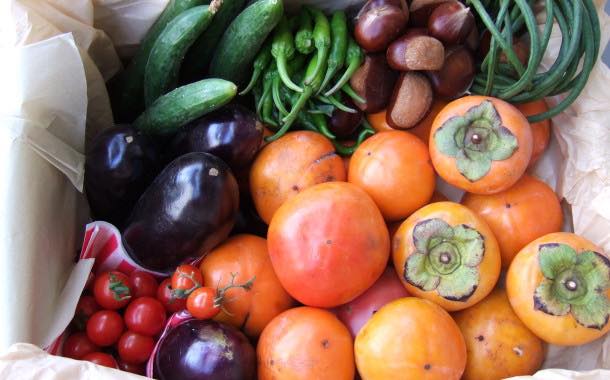UK consumers happy to buy damaged fruit and vegetables