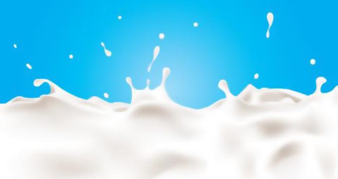 Milk will remain the white gold for the next decade