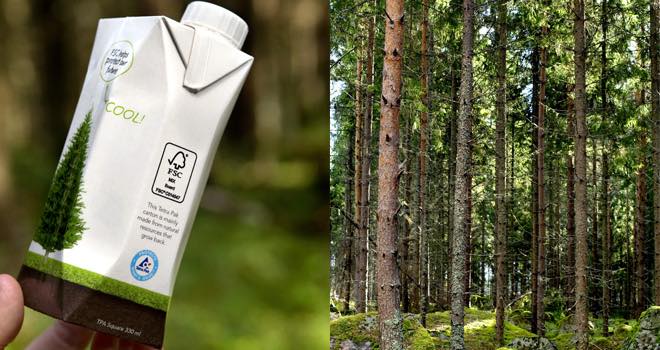 Tetra Pak receives certification from Forest Stewardship Council