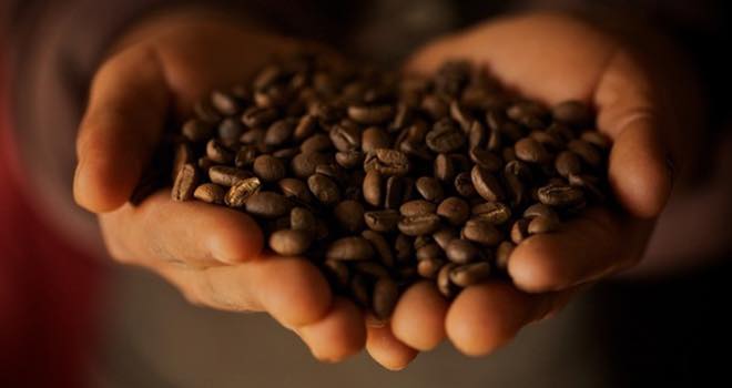 Fairtade Foundation and Fairtrade Africa announce ‘women in coffee’ project