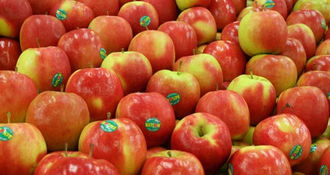 USDA 'reignites debate' with approval of first genetically modified apple