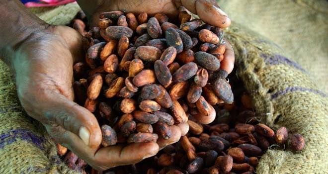 Cargill and Mondelēz partnership will support cocoa producing communities