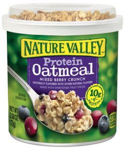 Nature Valley Protein Oatmeal