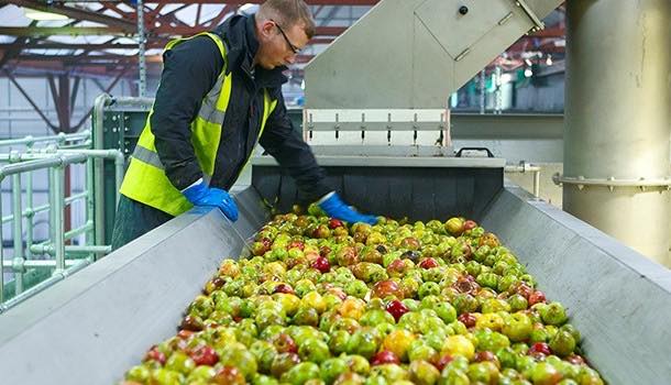 Case study: Aston Manor Cider uses riverside location to go green