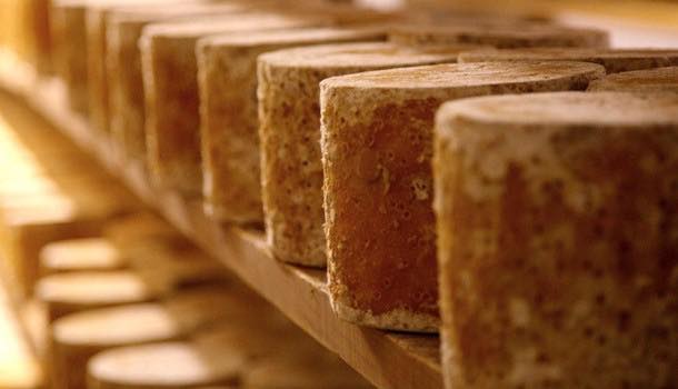 Cheese producer invests in new maturation rooms as part of growth plans