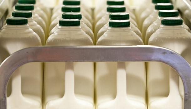 Dairy Crest secures highest corporate responsibility rating in annual index