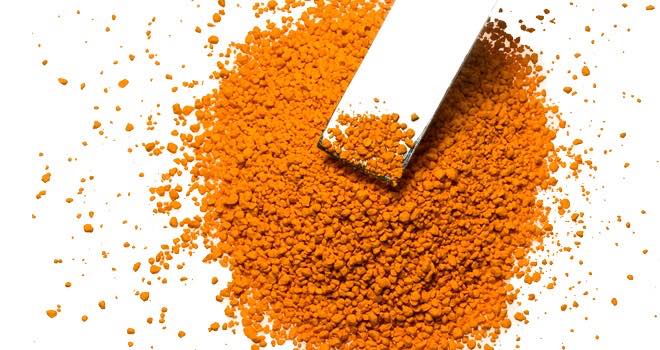 Indena reveals plans to highlight benefits of curcumin for footballers