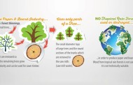 Infographic: Pro Carton highlights sustainability of cartonboard packaging
