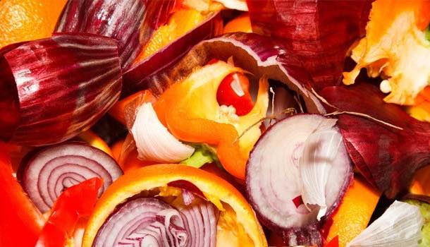 Mechline launches food waste program to offer guidance to foodservice firms