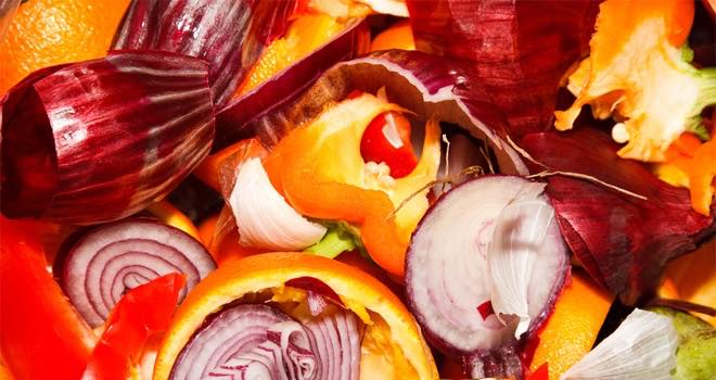 Mechline launches food waste program to offer guidance to foodservice firms