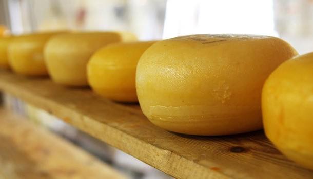 Emmi acquires Canadian cheese importer